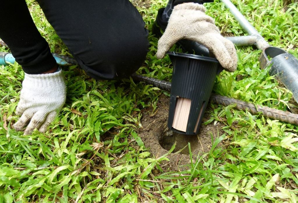 Termite Baiting Is The Best Home Termite Treatment In Tweed Heads